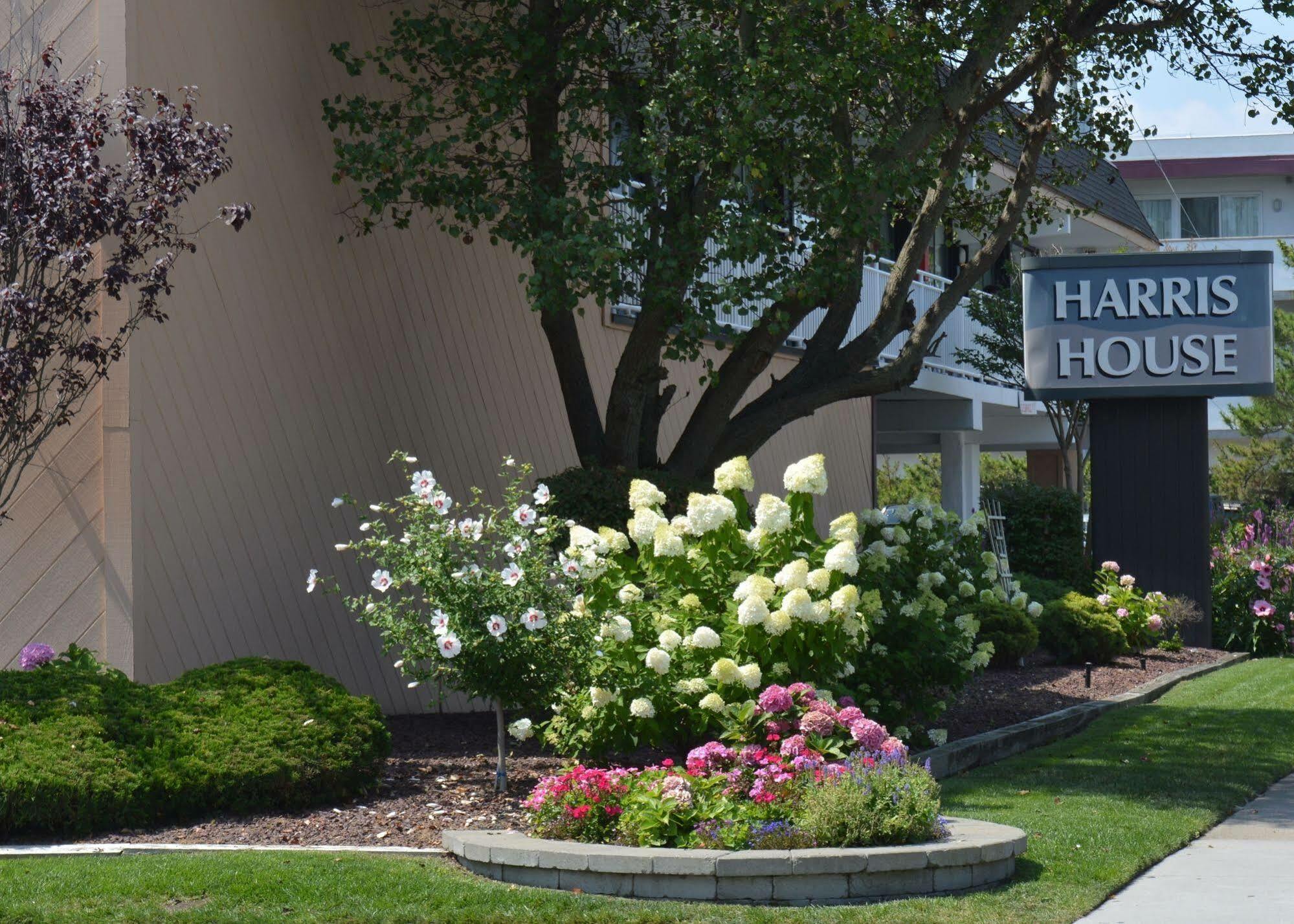 Harris House By The Beach Ocean City Exterior photo